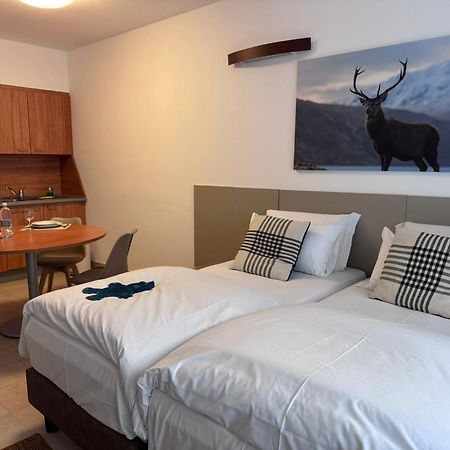 Base Camp Alpine Apartments 布勒伊-切尔维尼亚 客房 照片
